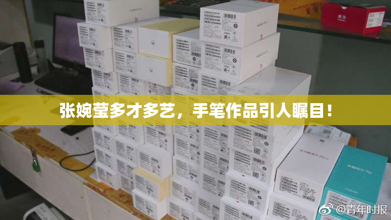 张婉莹多才多艺，手笔作品引人瞩目！