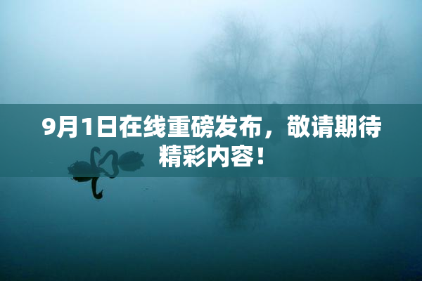 9月1日在线重磅发布，敬请期待精彩内容！