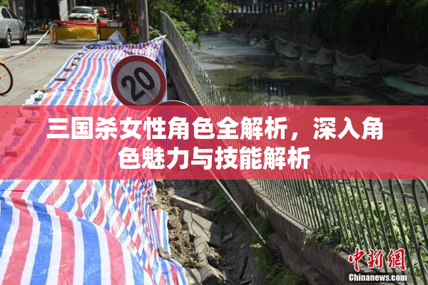 三国杀女性角色全解析，深入角色魅力与技能解析