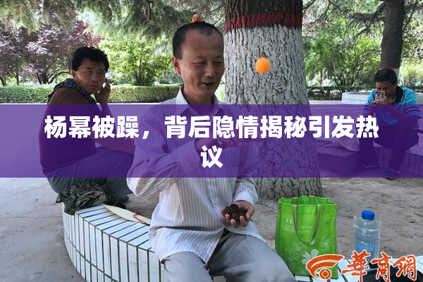 杨幂被躁，背后隐情揭秘引发热议