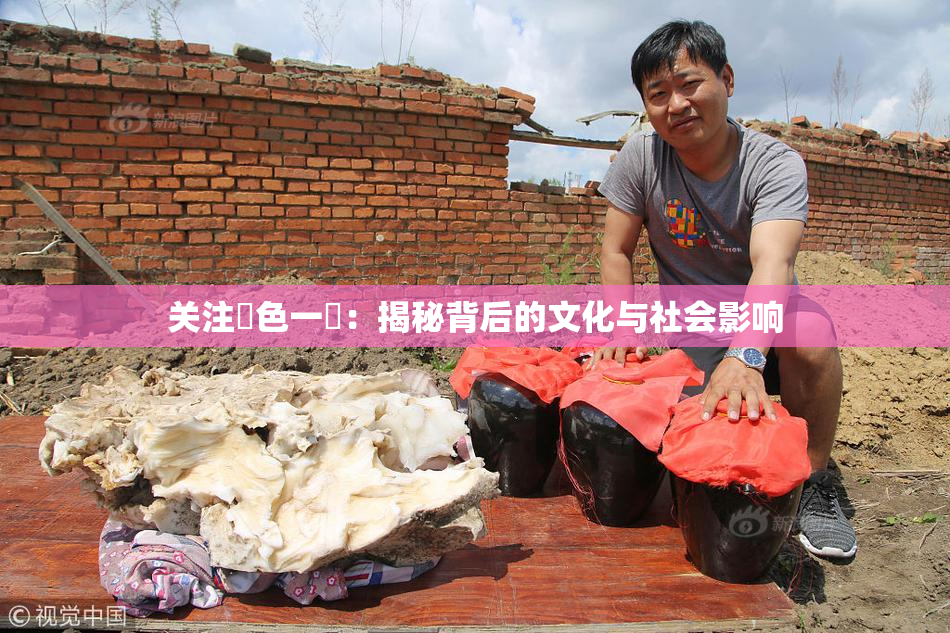 关注黃色一級：揭秘背后的文化与社会影响