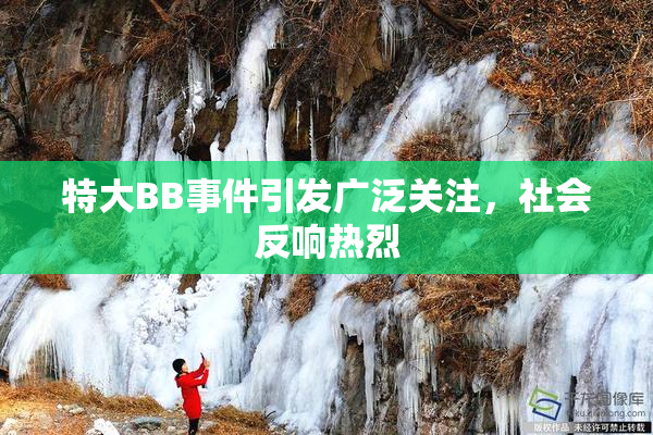 特大BB事件引发广泛关注，社会反响热烈