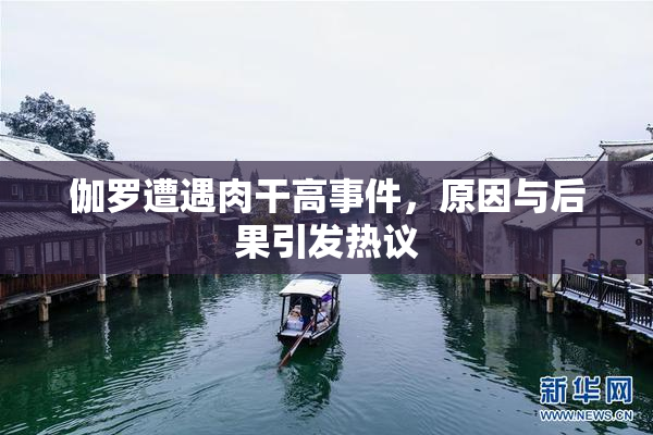 伽罗遭遇肉干高事件，原因与后果引发热议