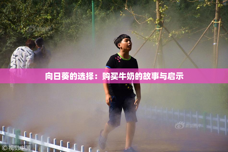 向日葵的选择：购买牛奶的故事与启示