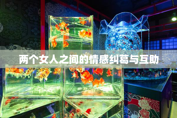 两个女人之间的情感纠葛与互助