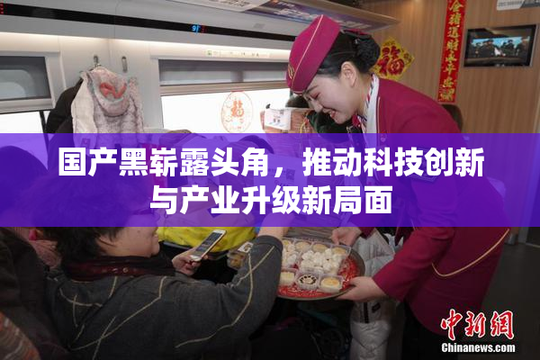 国产黑崭露头角，推动科技创新与产业升级新局面