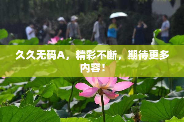 久久无码A，精彩不断，期待更多内容！