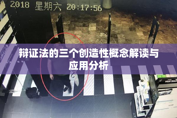 辩证法的三个创造性概念解读与应用分析