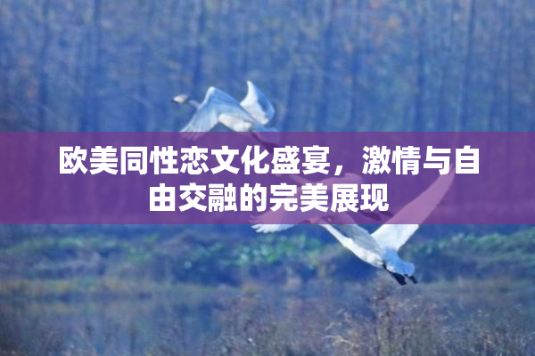 欧美同性恋文化盛宴，激情与自由交融的完美展现