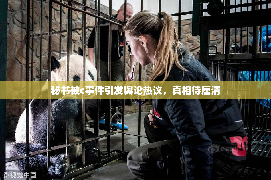 秘书被c事件引发舆论热议，真相待厘清