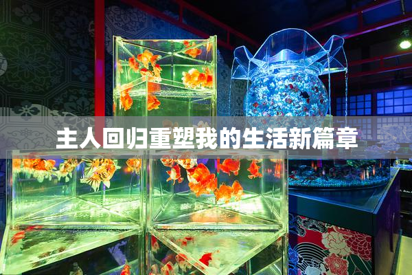 主人回归重塑我的生活新篇章
