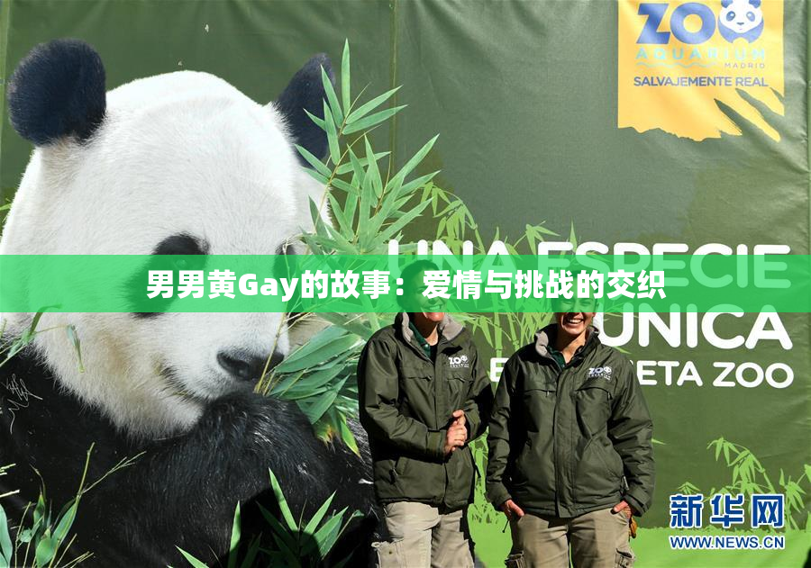 男男黄Gay的故事：爱情与挑战的交织