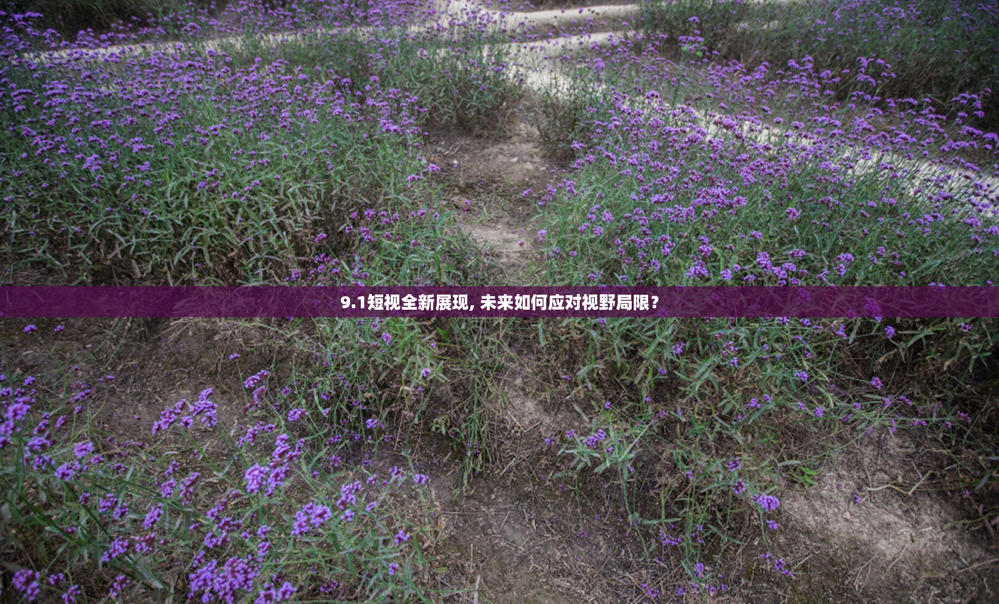 9.1短视全新展现, 未来如何应对视野局限？