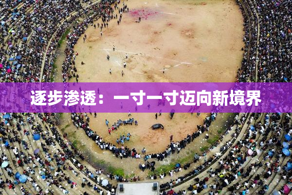逐步渗透：一寸一寸迈向新境界