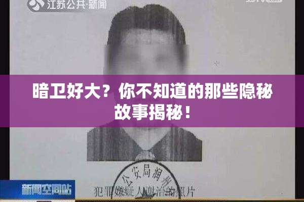 暗卫好大？你不知道的那些隐秘故事揭秘！