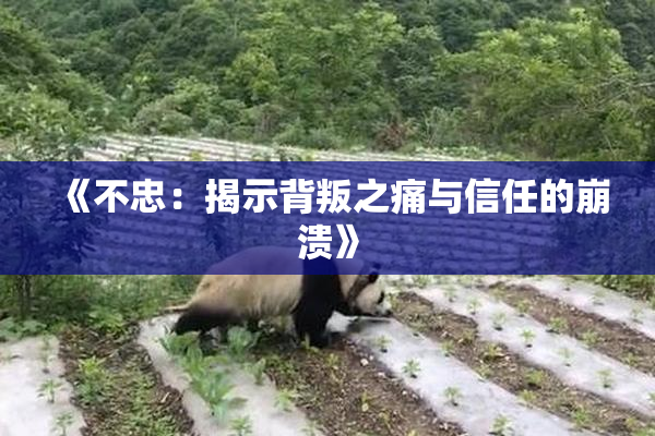 《不忠：揭示背叛之痛与信任的崩溃》