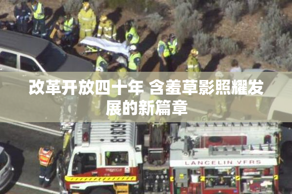 改革开放四十年 含羞草影照耀发展的新篇章