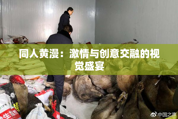 同人黄漫：激情与创意交融的视觉盛宴