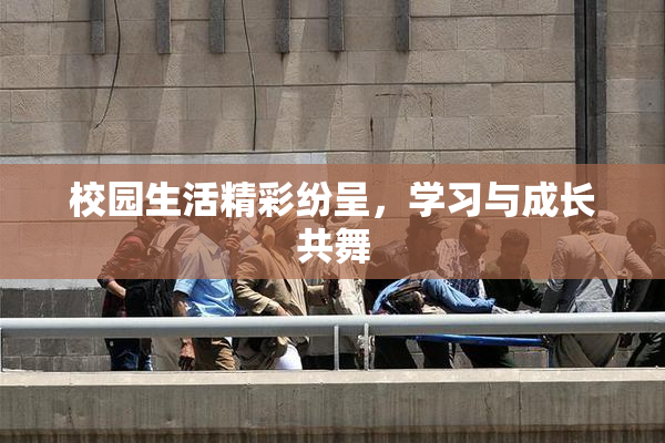 校园生活精彩纷呈，学习与成长共舞