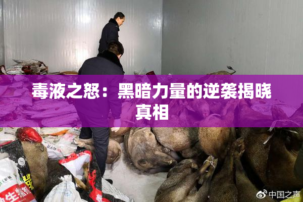毒液之怒：黑暗力量的逆袭揭晓真相