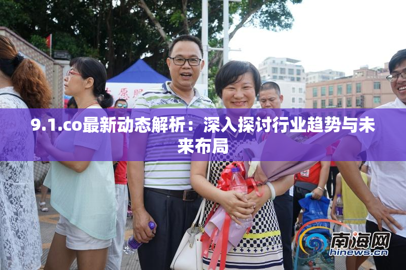 9.1.co最新动态解析：深入探讨行业趋势与未来布局