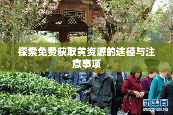 探索免费获取黄资源的途径与注意事项