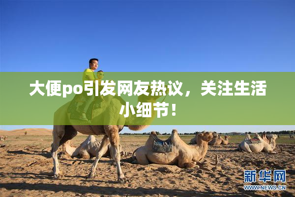 大便po引发网友热议，关注生活小细节！