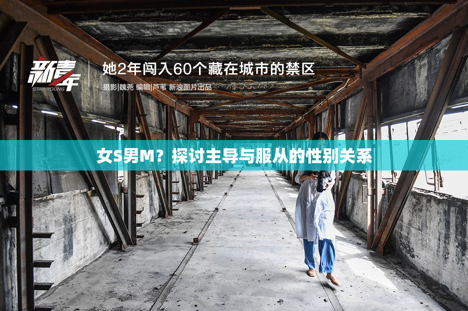 女S男M？探讨主导与服从的性别关系