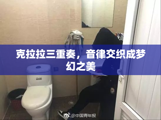 克拉拉三重奏，音律交织成梦幻之美