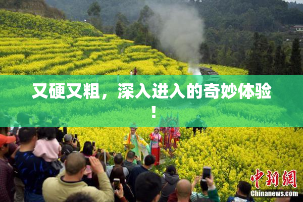 又硬又粗，深入进入的奇妙体验！