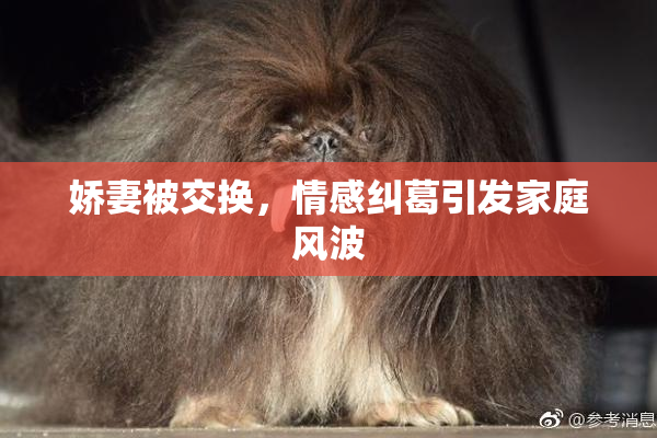 娇妻被交换，情感纠葛引发家庭风波