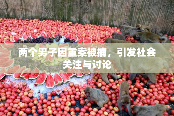 两个男子因重案被捕，引发社会关注与讨论