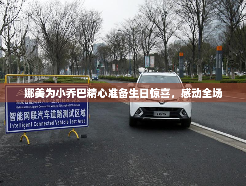 娜美为小乔巴精心准备生日惊喜，感动全场