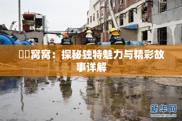 妺妺窝窝：探秘独特魅力与精彩故事详解