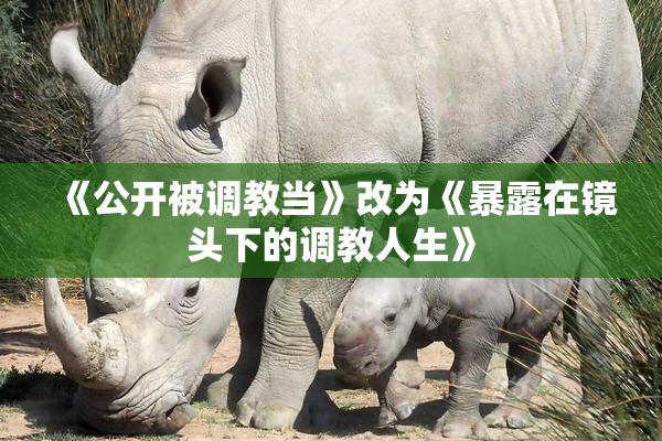 《公开被调教当》改为《暴露在镜头下的调教人生》