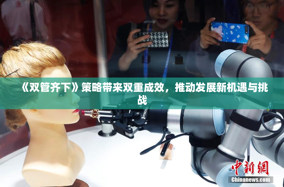 《双管齐下》策略带来双重成效，推动发展新机遇与挑战