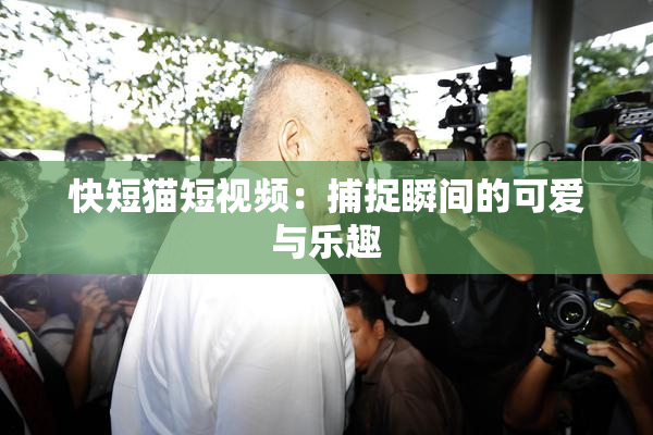 快短猫短视频：捕捉瞬间的可爱与乐趣