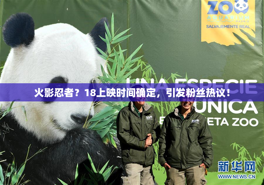 火影忍者？18上映时间确定，引发粉丝热议！