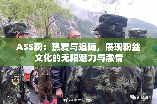 ASS粉：热爱与追随，展现粉丝文化的无限魅力与激情