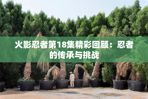 火影忍者第18集精彩回顾：忍者的传承与挑战