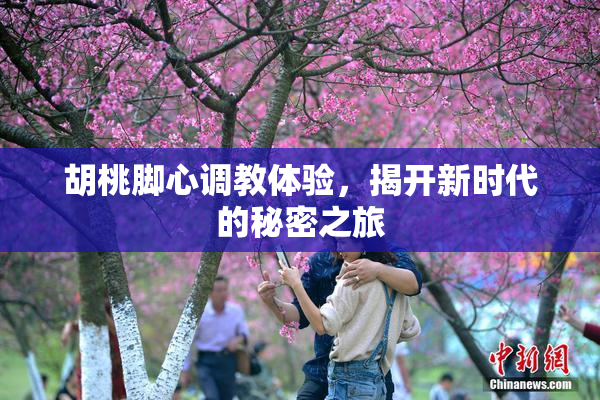 胡桃脚心调教体验，揭开新时代的秘密之旅