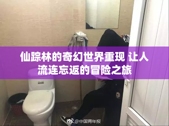 仙踪林的奇幻世界重现 让人流连忘返的冒险之旅