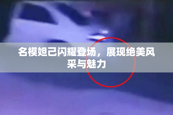 名模妲己闪耀登场，展现绝美风采与魅力