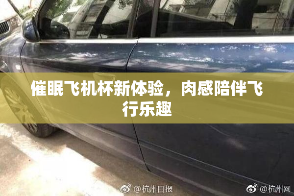 催眠飞机杯新体验，肉感陪伴飞行乐趣
