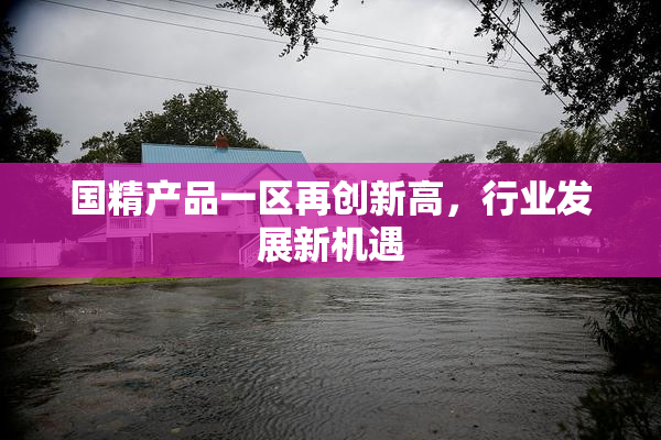 国精产品一区再创新高，行业发展新机遇