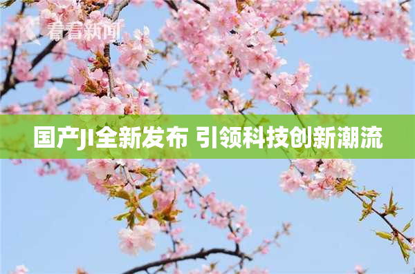 国产JI全新发布 引领科技创新潮流