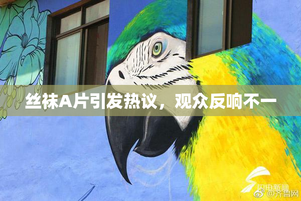 丝袜A片引发热议，观众反响不一