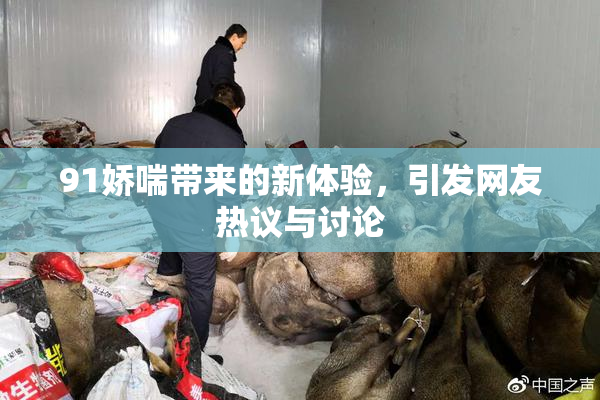 91娇喘带来的新体验，引发网友热议与讨论