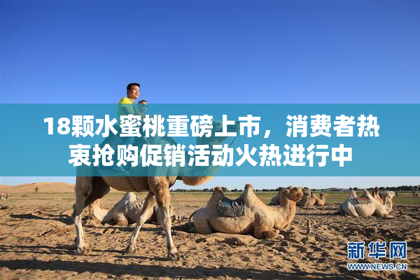 18颗水蜜桃重磅上市，消费者热衷抢购促销活动火热进行中
