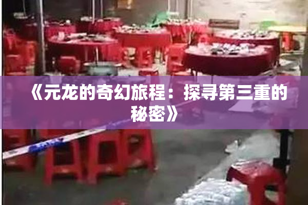 《元龙的奇幻旅程：探寻第三重的秘密》